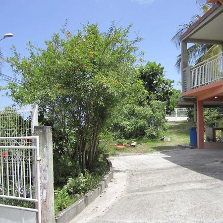 Villa Zannanas Le Diamant Ngoại thất bức ảnh