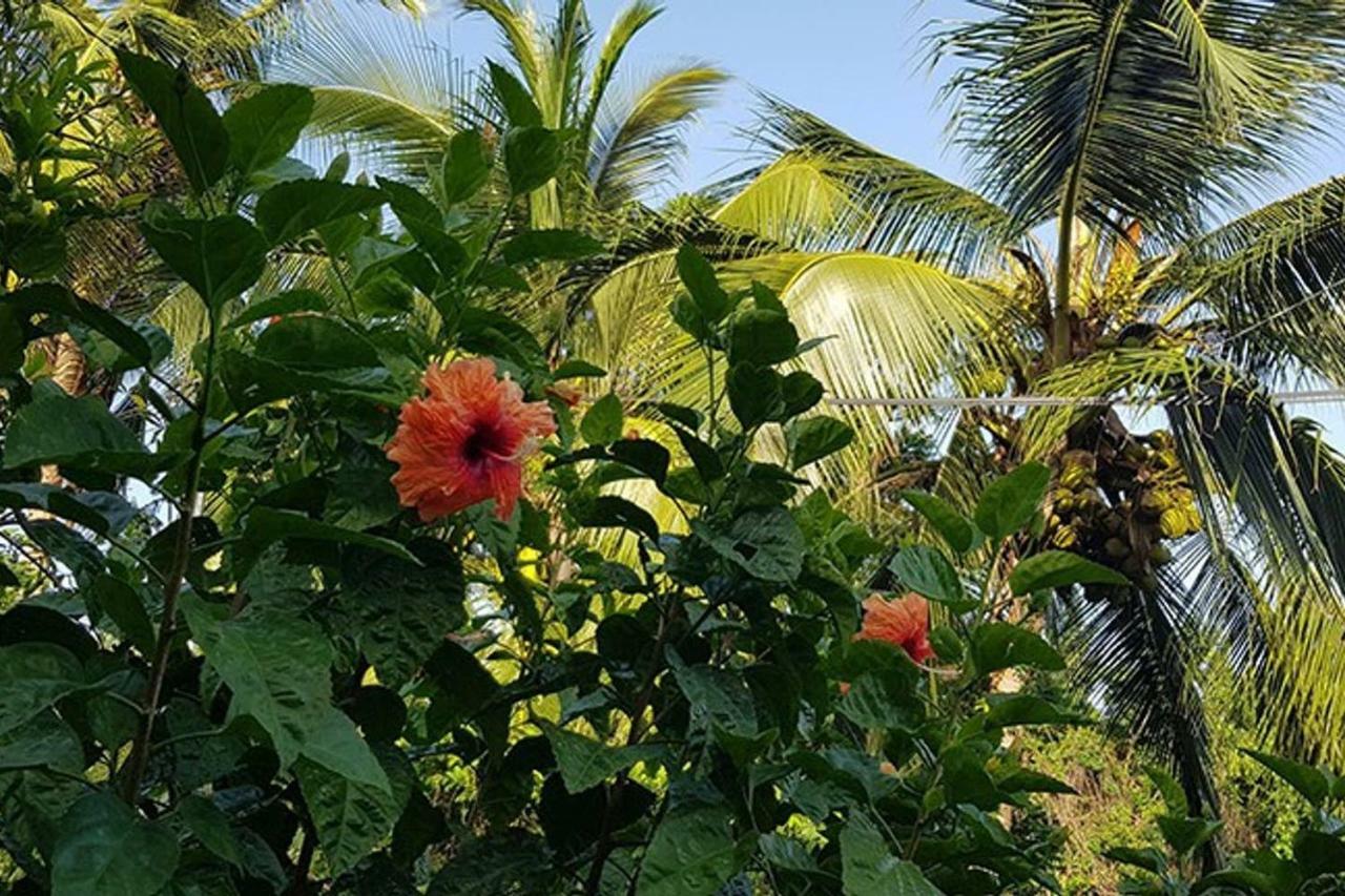 Villa Zannanas Le Diamant Ngoại thất bức ảnh